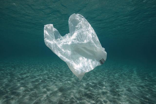 Sampah Plastik