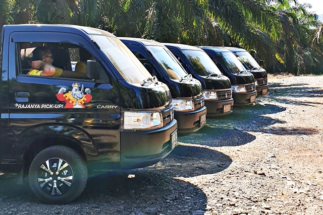 Suzuki New Carry Pick Up