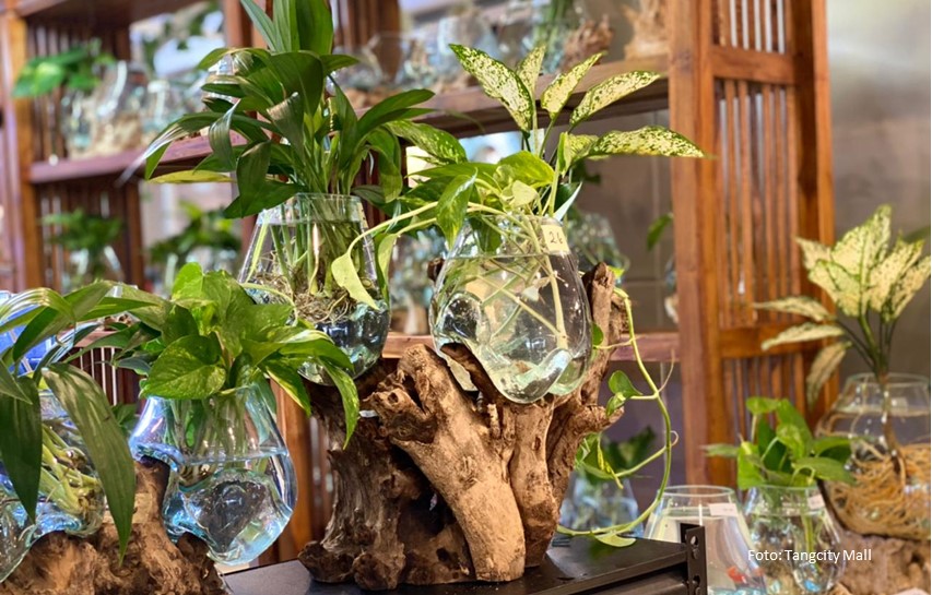 Pameran Tanaman Imlek