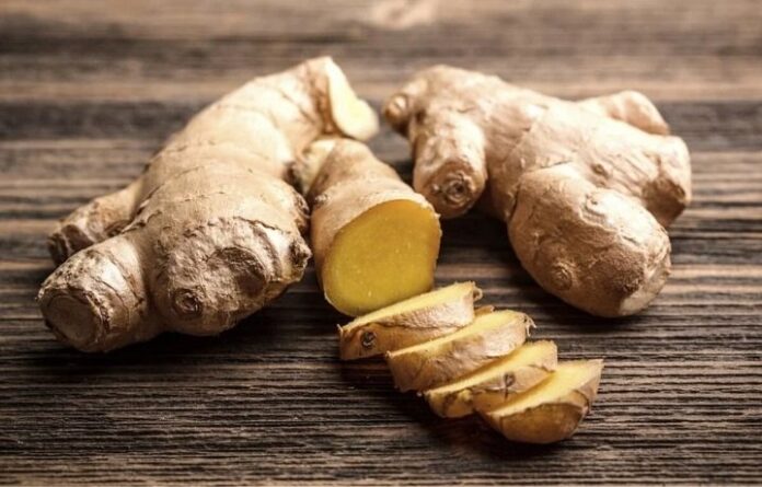 Manfaat jahe bagi kesehatan tubuh