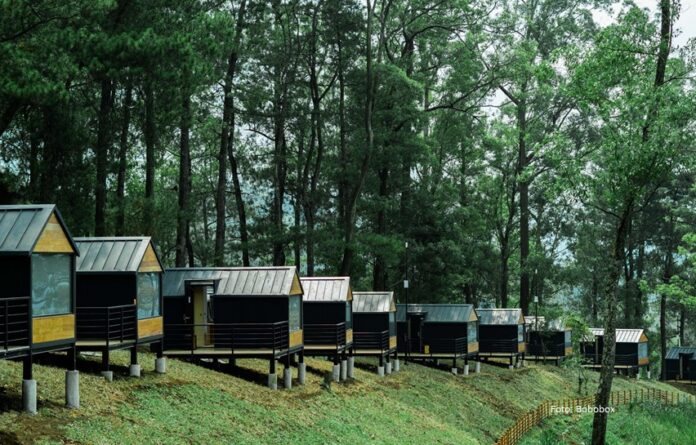 Balutan Alam Hutan Pinus dan Kabut Pagi di Bobocabin Coban Rondo.