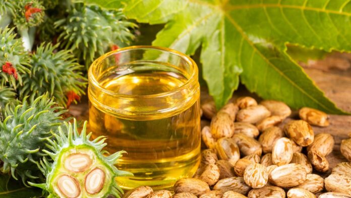 5 Manfaat Daun Jarak untuk Kesehatan, Mulai Bayi Hingga Dewasa