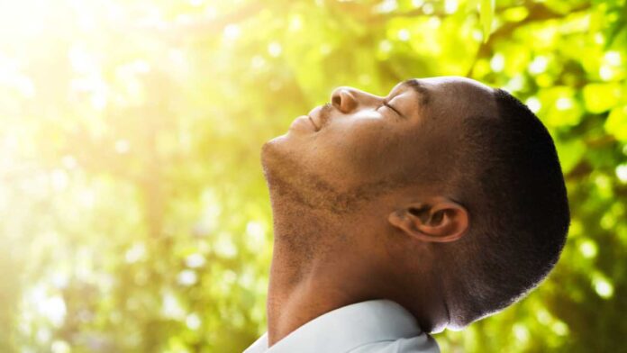 Cara Menjaga Kualitas Udara di Rumah yang Benar