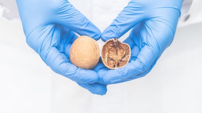 Mengenal Kanker Testis yang Menyerang Para Pria Usia Aktif