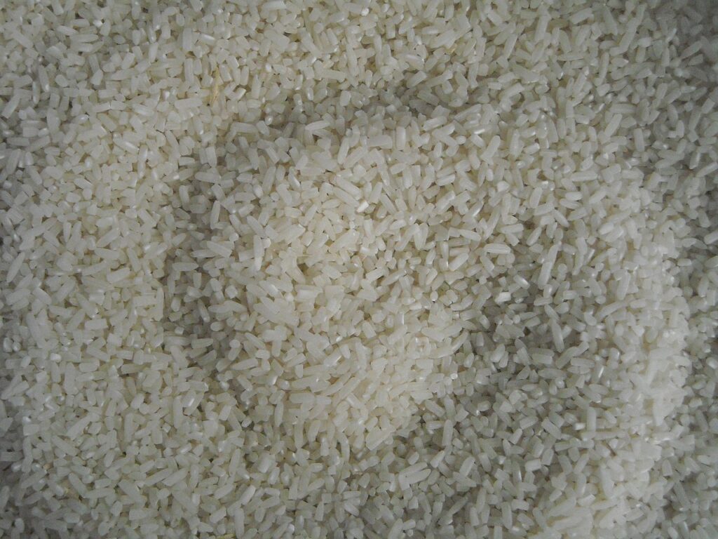 Mengenal Cahokia Rice: Beras Tinggi Protein Asal Indonesia 1 rice 257761 1280
